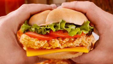 a close up of a person holding a chicken burger