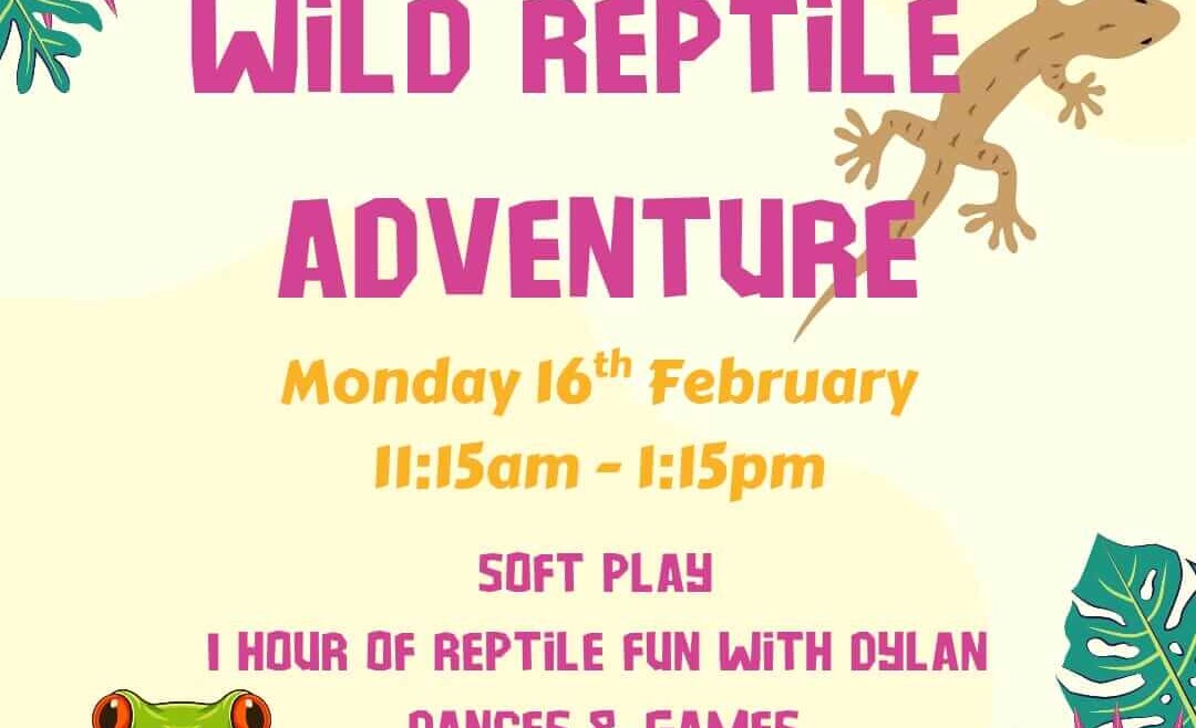 Charlie Park poster for “Wild Reptile Adventure” on Monday 16th February, 11:15am to 1:15pm. Includes soft play, one hour of reptile fun with Dylan, plus dances and games.